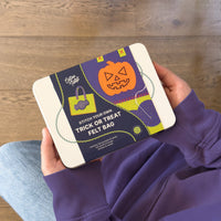 Stitch Your Own Trick-or-Treat Felt Bag