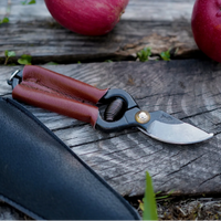 Handy Pruner for Small Hands