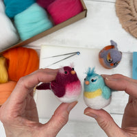 Needle Felting Kit, Baby Birds