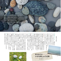 Collection of variously shaped and sized stones on a gray background with Japanese text.