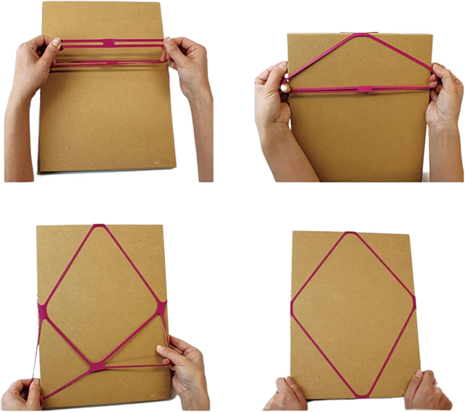 svelte.jpg?v=1738199322