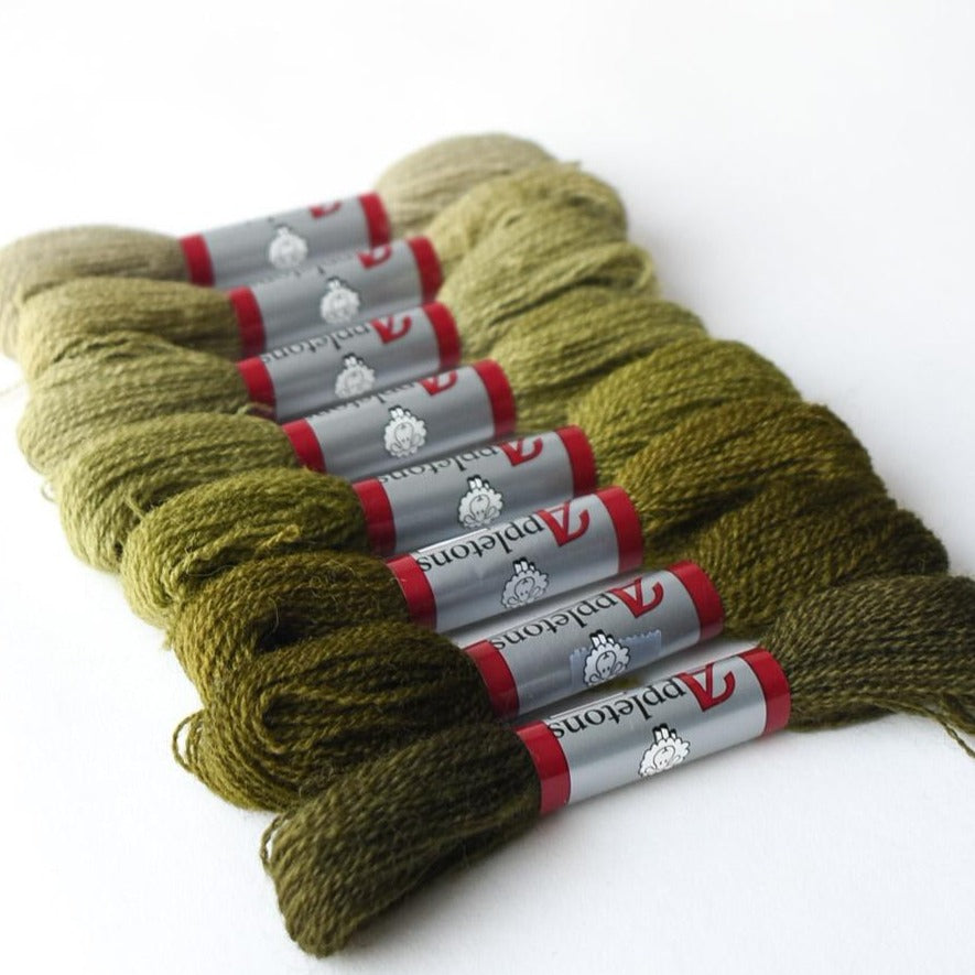 Appletons Darning Wool Gradient, Olive Green – Brooklyn Haberdashery