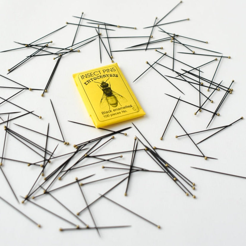 Black enamelled sewing pins – Brooklyn Haberdashery