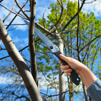 Folding Saw