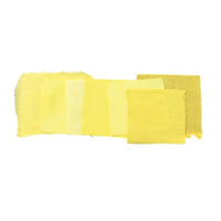 The Natural Dye Handbook by Heidi Iverson