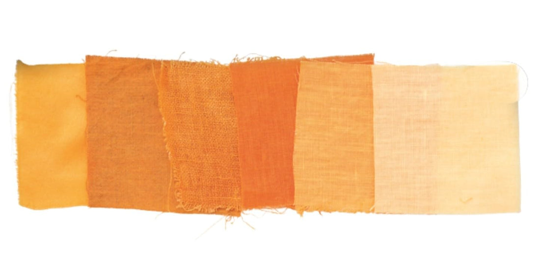The Natural Dye Handbook by Heidi Iverson