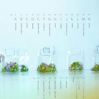 Wool Embroidery in 50 Stitches by Risa Iwata