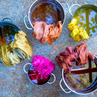 The Natural Dye Handbook by Heidi Iverson