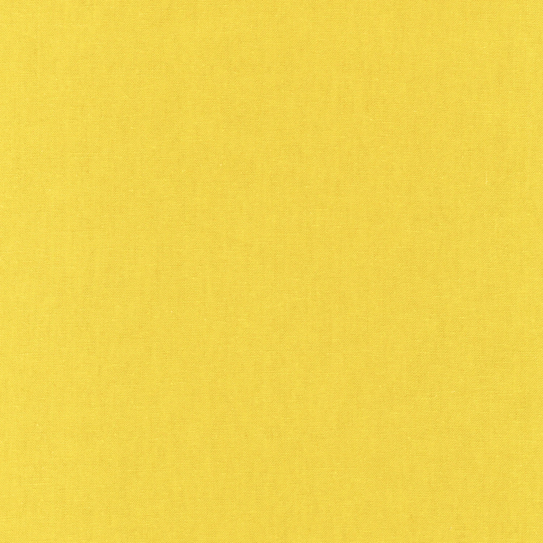 Essex Yarn-Dyed Linen Cotton E064-1677 Curry