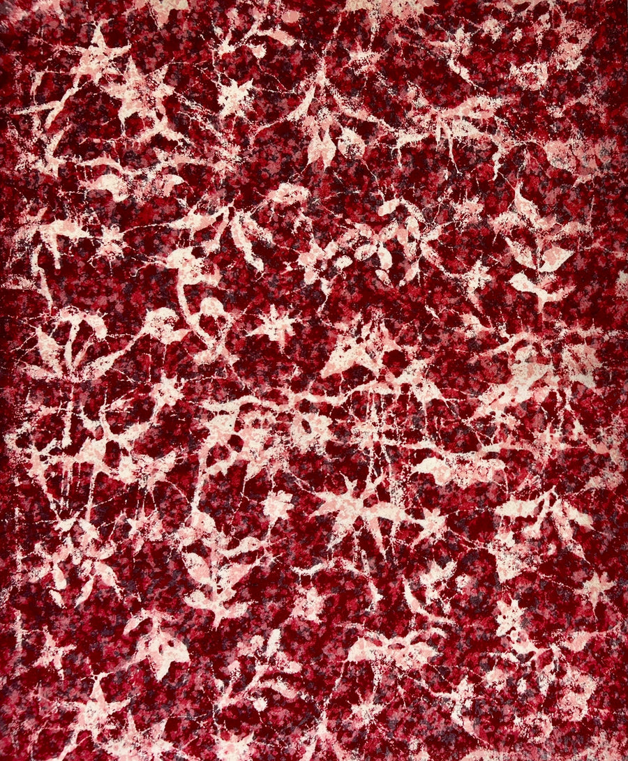 Red and white patterned fabric on a white background