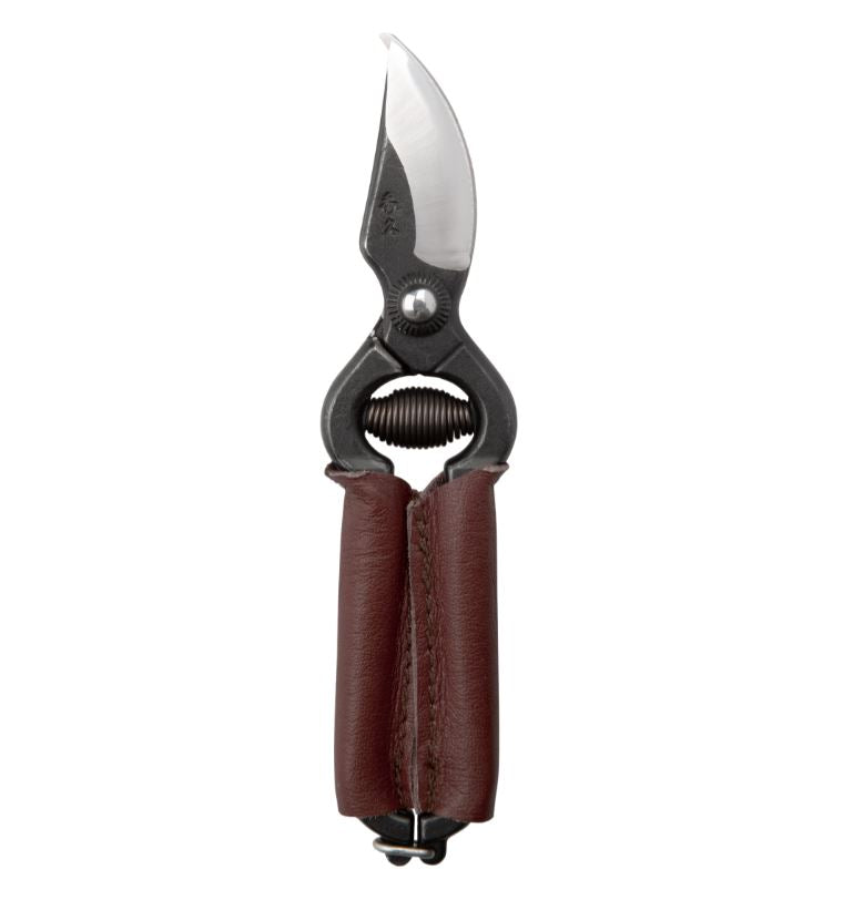 Handy Pruner for Small Hands