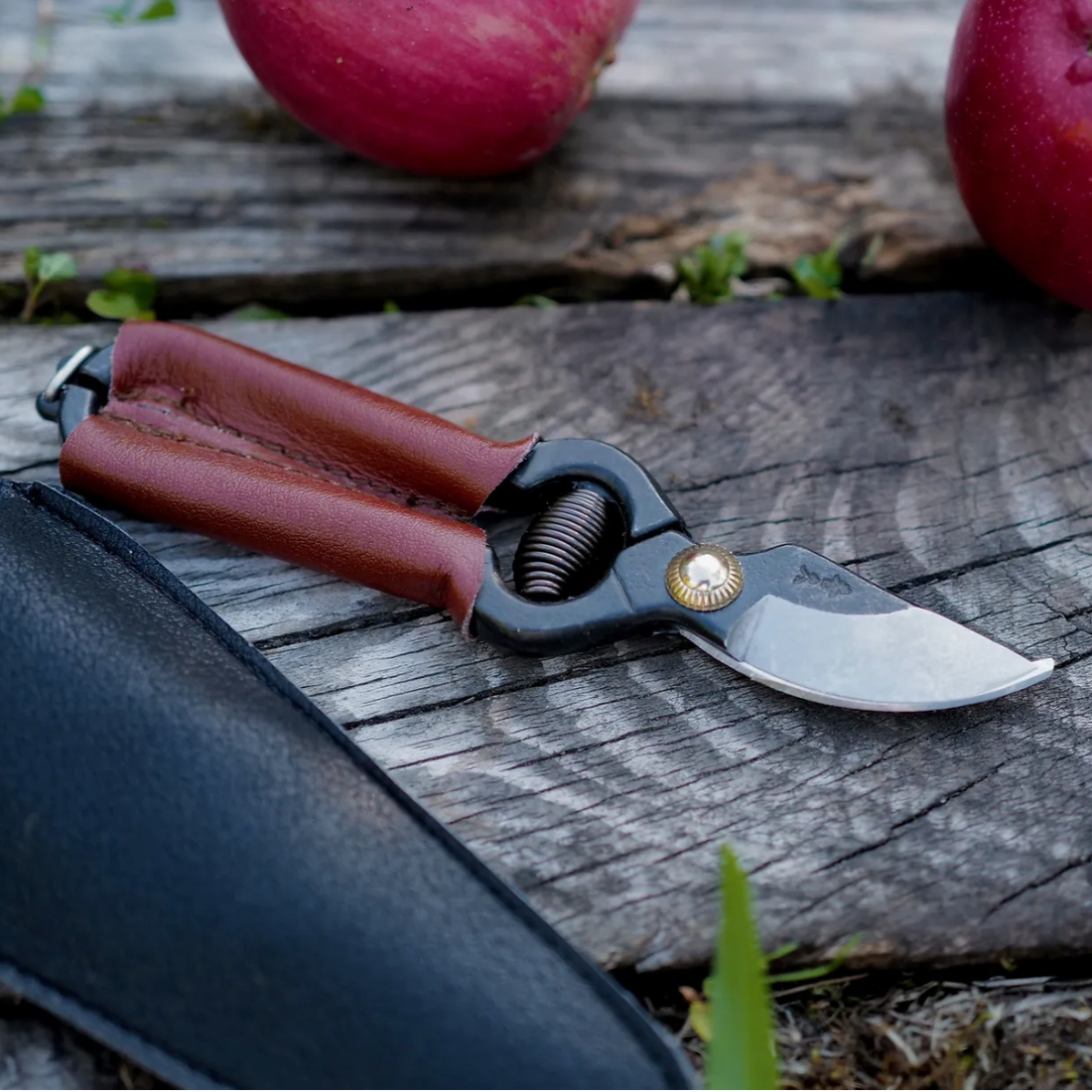 Handy Pruner for Small Hands