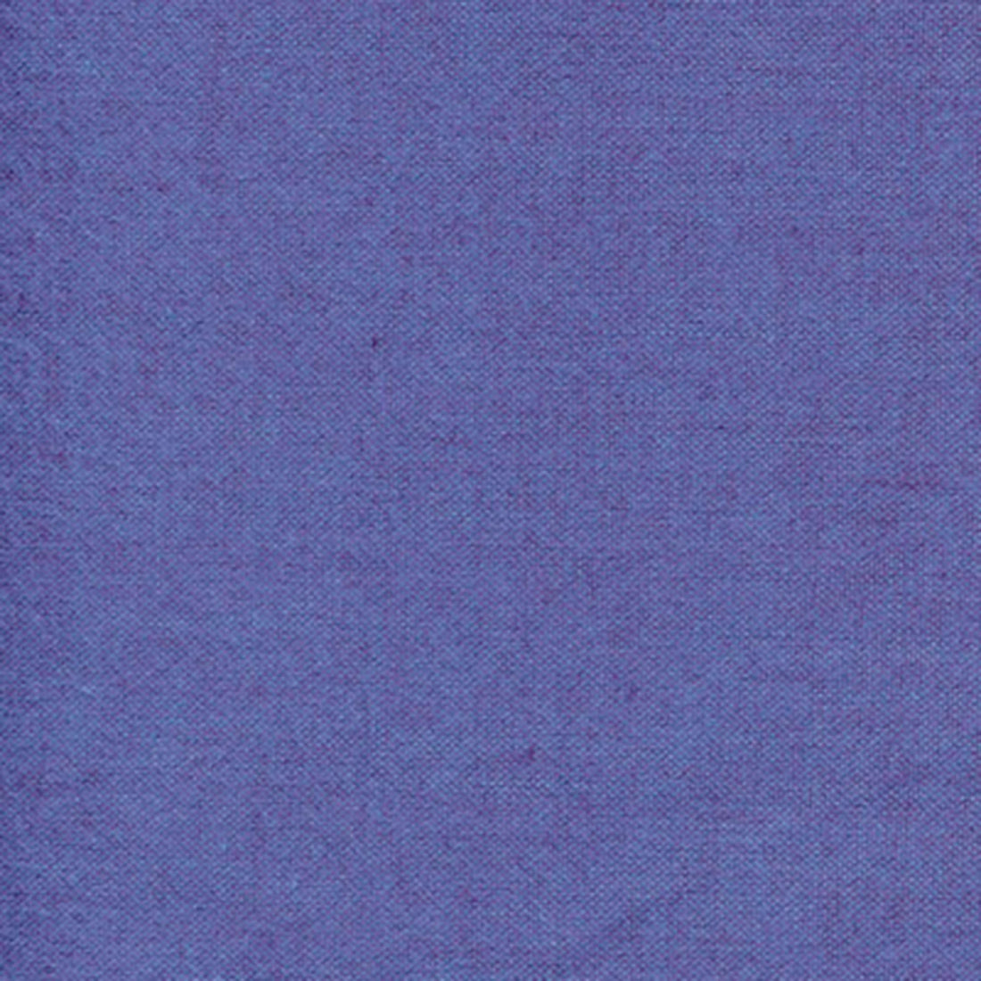 Peppered Cotton 28 Morning Glory