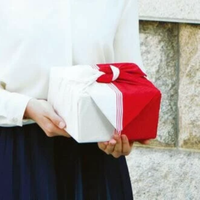 Red & White Furoshiki Wrapping Cloth - 27-1/2"