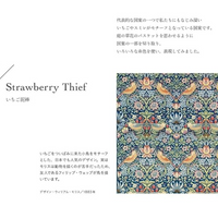 William Morris Embroidery Pattern Book