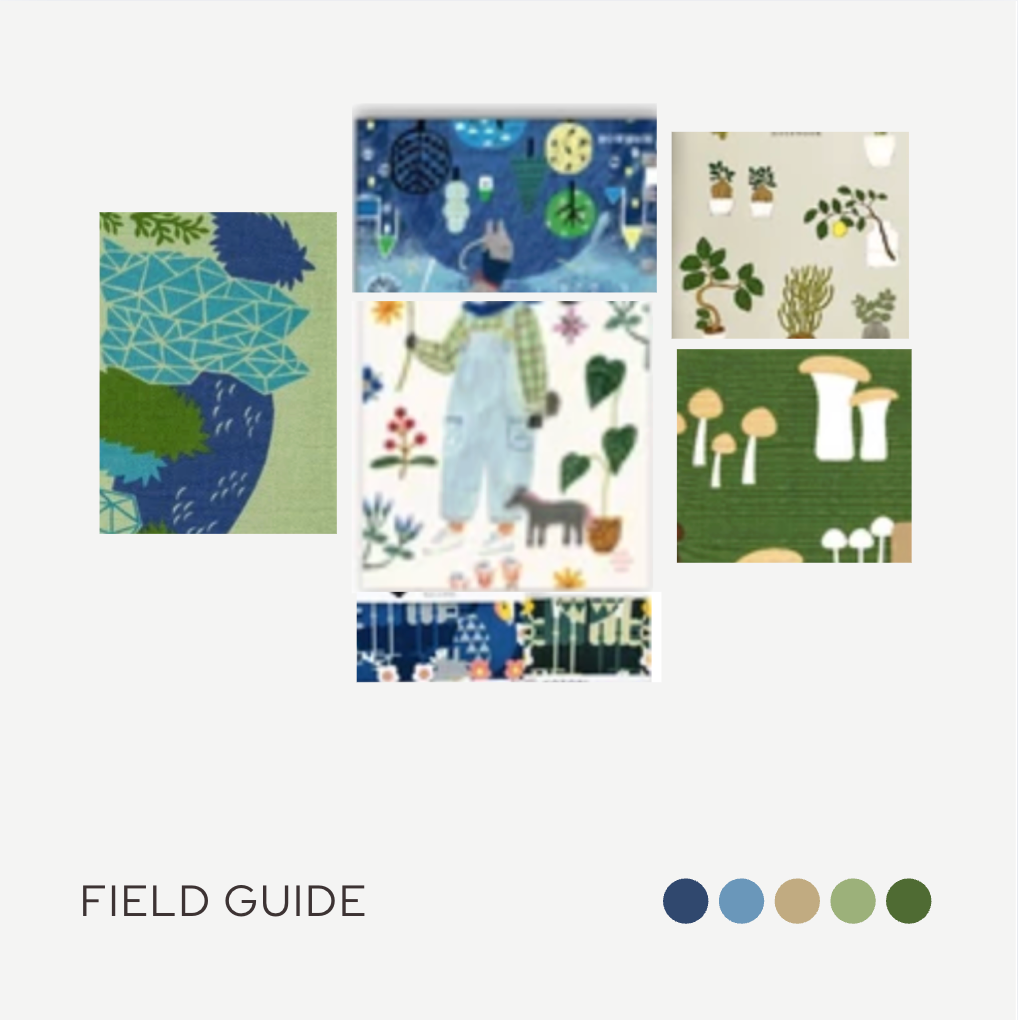 12 Days of Wonder — Field Guide