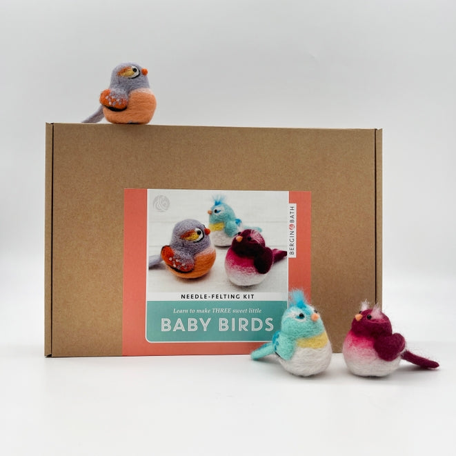 Needle Felting Kit, Baby Birds