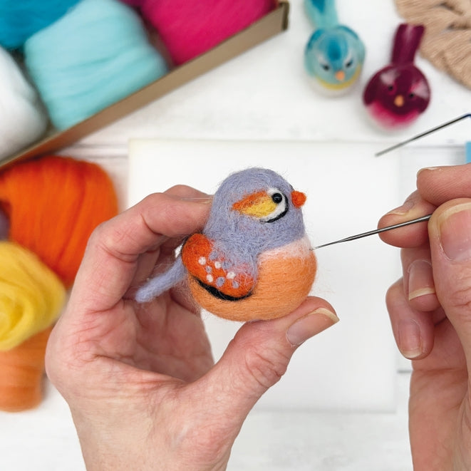 Needle Felting Kit, Baby Birds