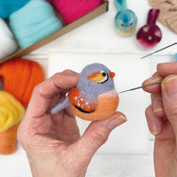 Needle Felting Kit, Baby Birds