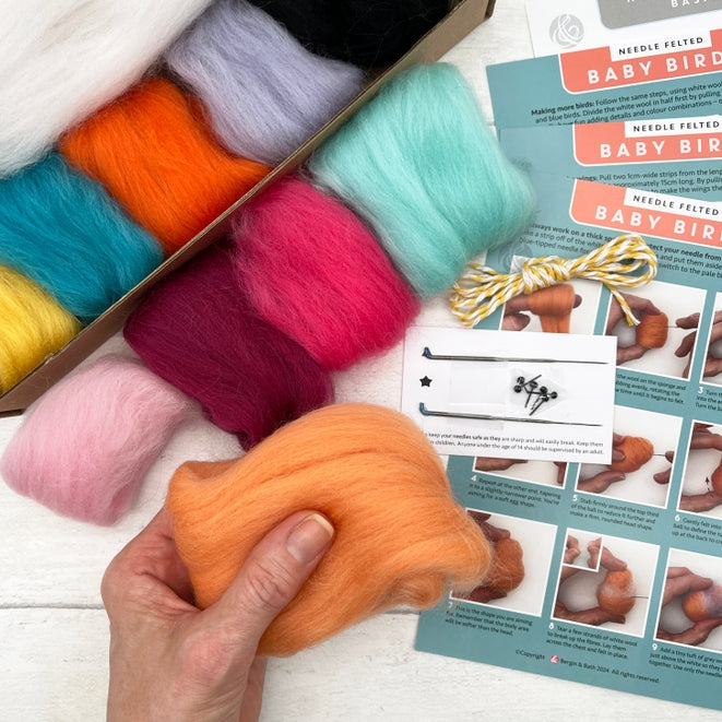 Needle Felting Kit, Baby Birds