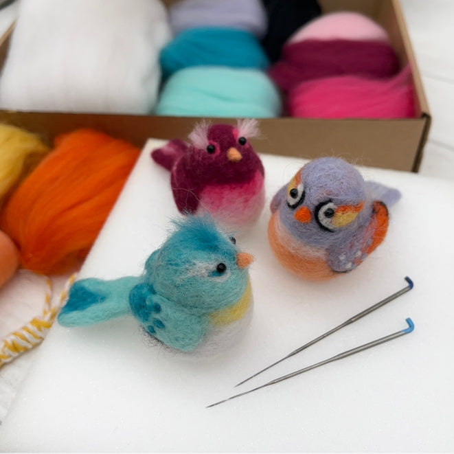 Needle Felting Kit, Baby Birds