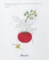 Embroidered Kitchen Garden by Kazuko Oaki