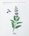 Embroidered Kitchen Garden by Kazuko Aoki