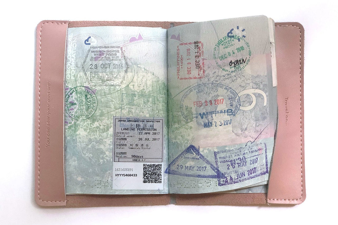 Map Passport Cover DIY Kit, Pink