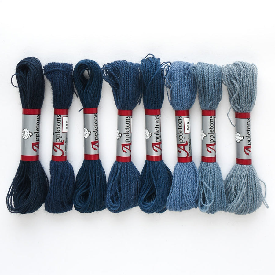 Appletons Darning Wool Gradient, French Blue