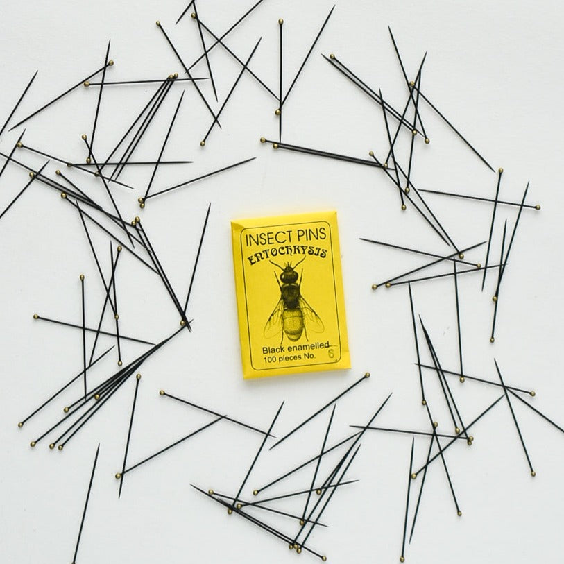 Black enamelled sewing pins