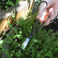 Bonsai Plant Scissors