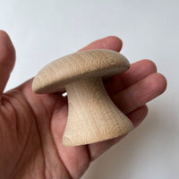 Adorable Mushroom Darning Kit Vol.1