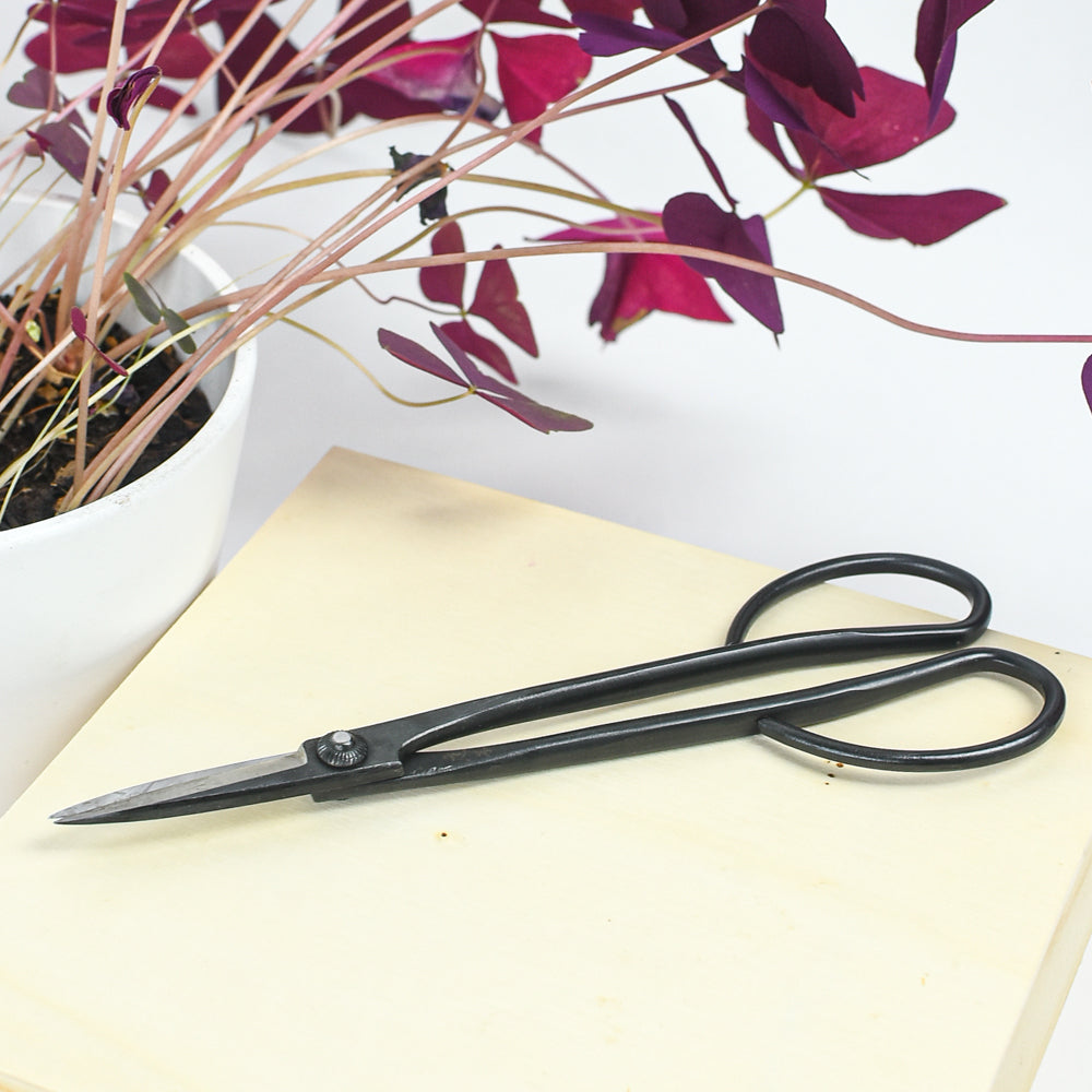 House Plant Scissors