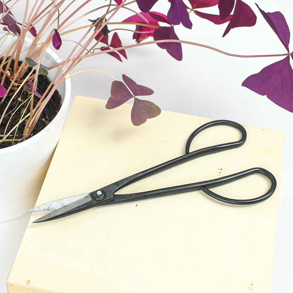 House Plant Scissors