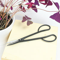 House Plant Scissors